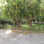 Centro Júlia Moreira