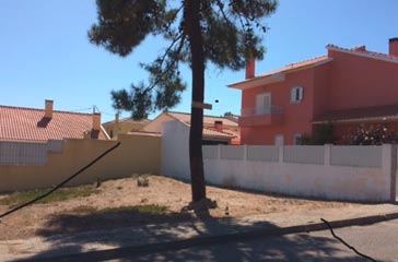 Desmatação <br>e limpeza de terrenos